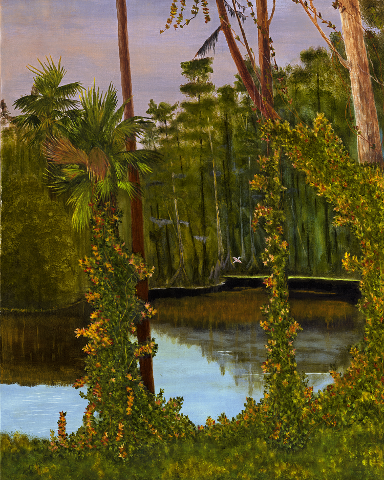 Peaceful Ocklawaha