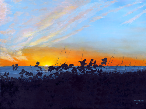 Evening on Anna Maria Island
