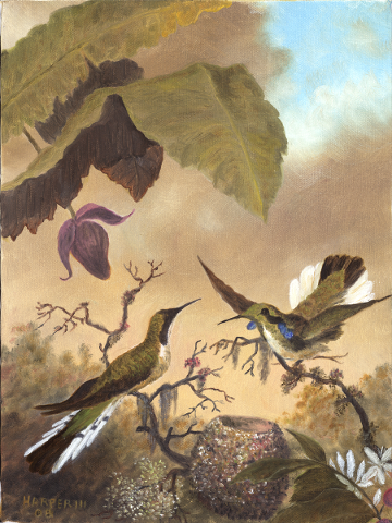 Nesting Time
