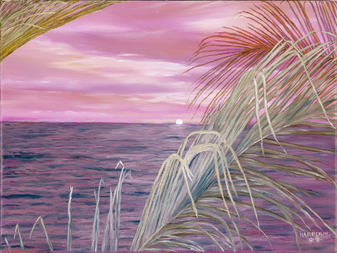 Memories of Boca Grande