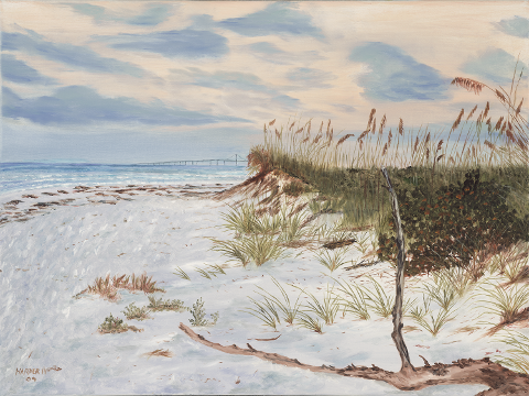 Anna Maria Beach Driftwood