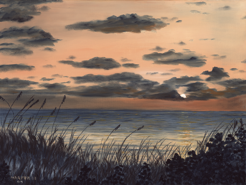 Tranquil Evening on Anna Maria Island