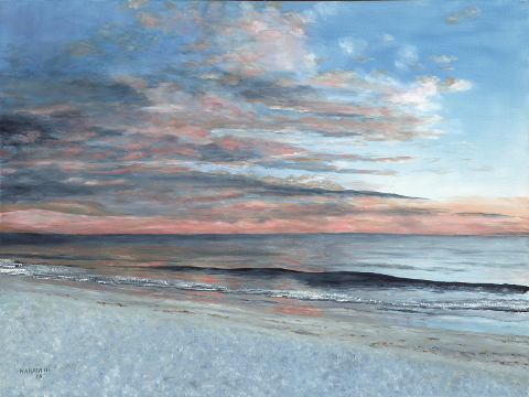 Southern Reflections of Anna Maria Island